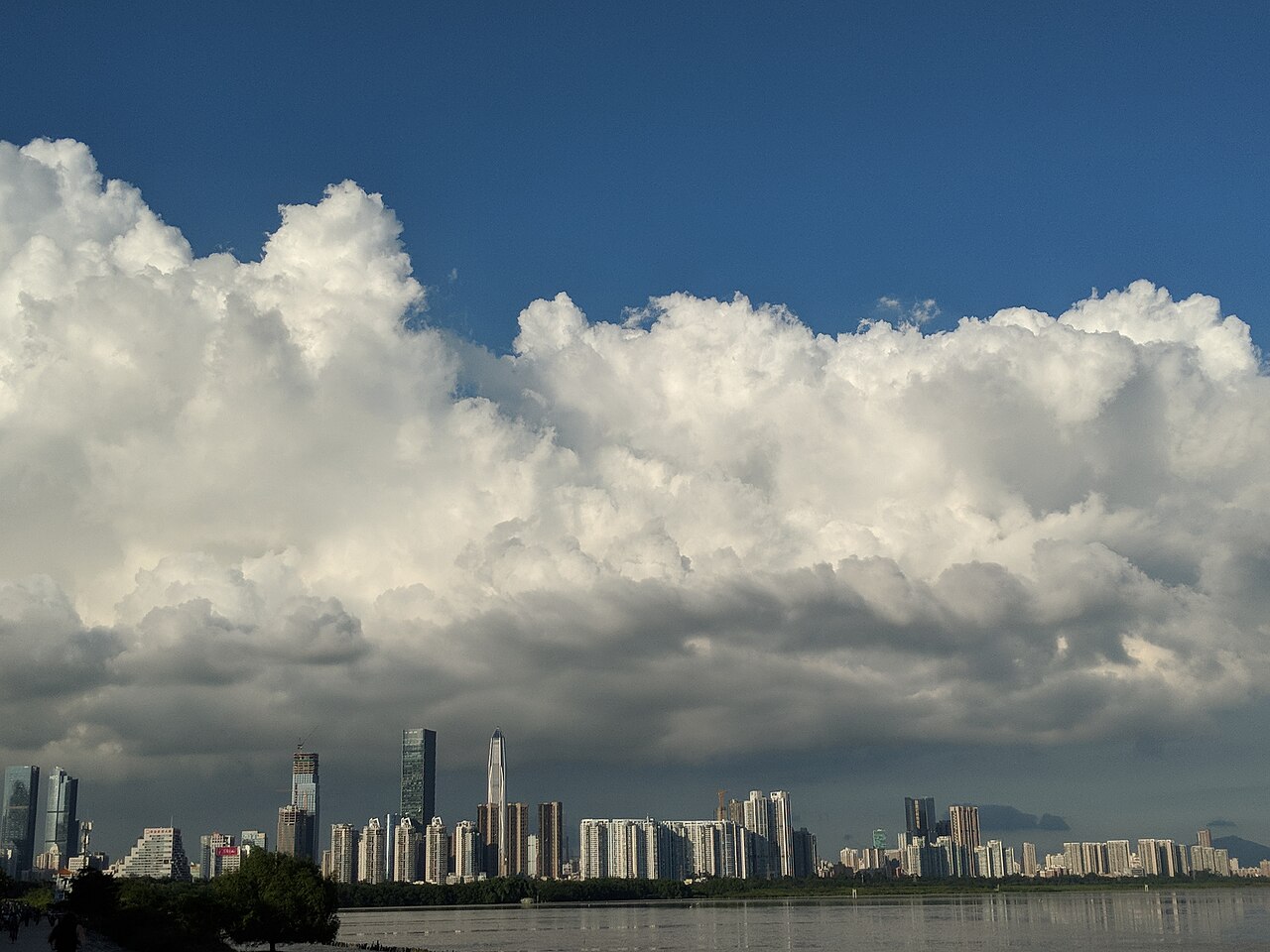 Shenzhen Bay Park waterfront